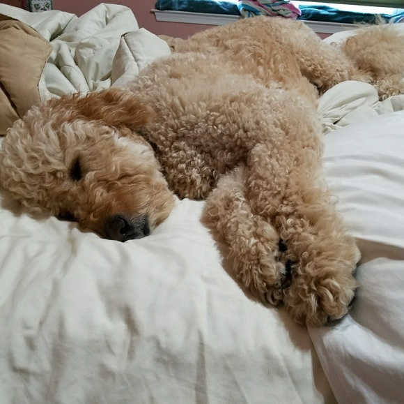 Meet your Posher, Debbi - Picture 3 of 6